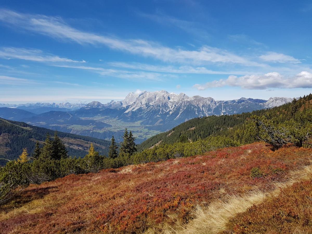 Appartement Bergtraeume Haus im Ennstal Dış mekan fotoğraf